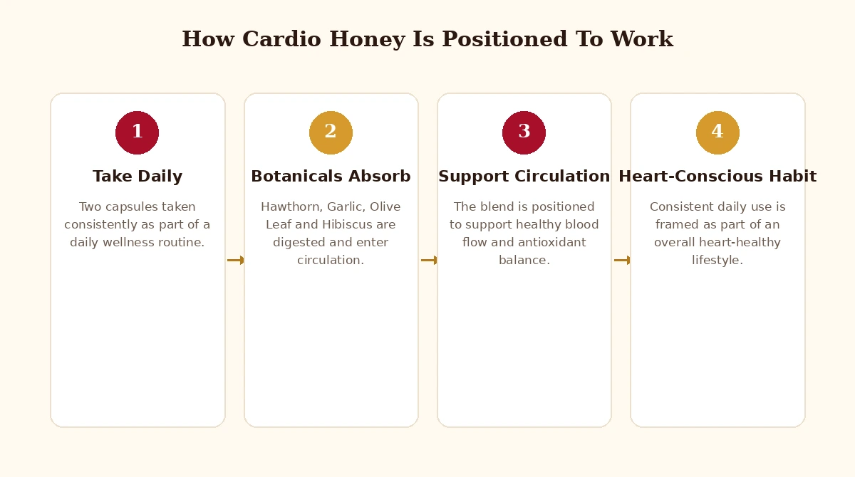How Cardio Honey works: take daily, botanicals absorb, support circulation, heart-conscious habit
